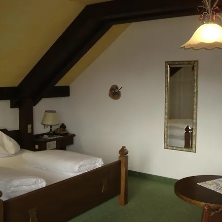 Отель Stegmuehlhof 4*